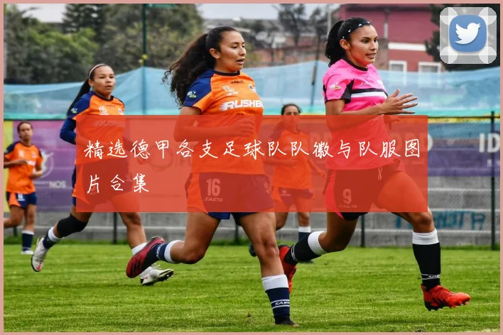 精选德甲各支足球队队徽与队服图片合集