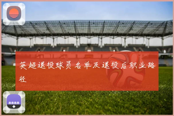 英超退役球员名单及退役后职业路径