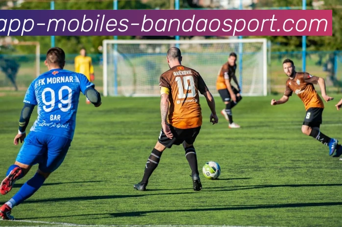 半岛体育平台生态图