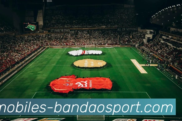 半岛体育APP 封面图